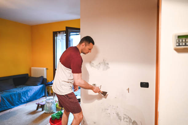 Best Mold Removal and Inspection  in Woodbury, NY